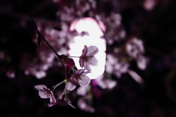 ペンタックス HD PENTAX-D FA 15-30mmF2.8ED SDM WR レビュー ペンタックス HD PENTAX-D FA 15-30mmF2.8ED SDM WR レビュー