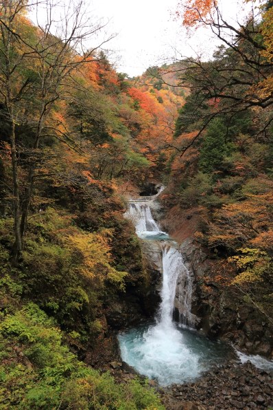 CANON EF17-40mm F4L USM投稿画像・動画 (レビュー) - 価格.com