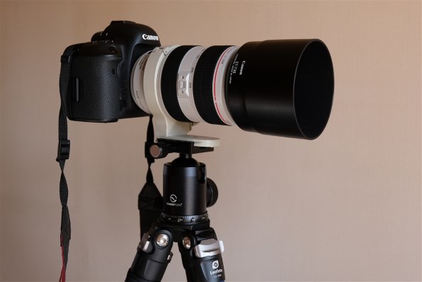 Canon EF 70-300mm f4-5.6L IS USM 三脚座付き ccorca.org