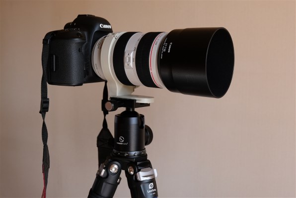 Canon EF70-300mm f4-5.6L IS USM 三脚座+オマケ - レンズ(ズーム)