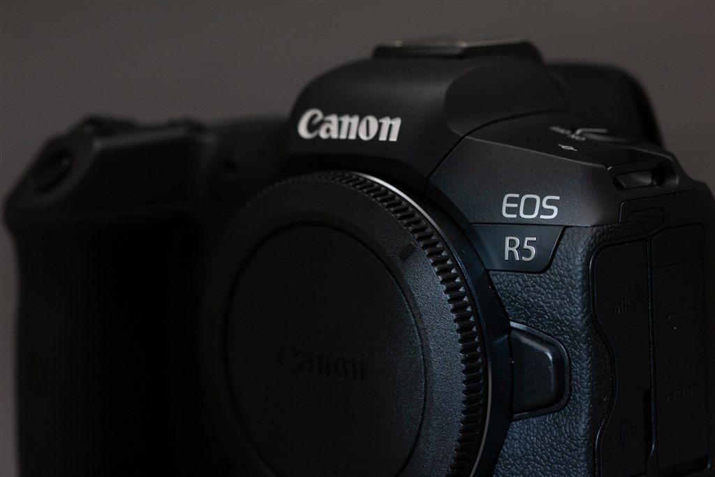 今の目線でみた感想』 CANON EOS-1Ds Mark III ボディ TETSU34