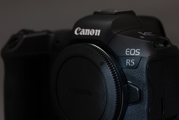 実写で見る D3x Eos 1dsmk3と比較 Canon Eos 1ds Mark Iii ボディ のクチコミ掲示板 価格 Com