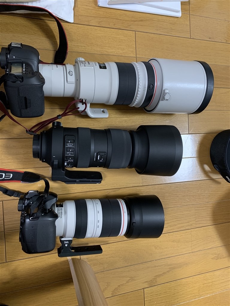 レンズ：Canon EF 100-400mm F4.5-5.6 L IS - レンズ(ズーム)