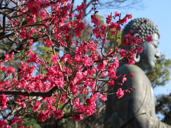 CANON PowerShot SX130 IS投稿画像・動画 - 価格.com