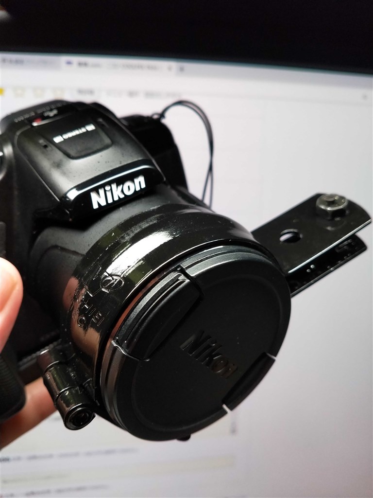超ラフなバードウォッチング時の遊び仲間』 ニコン COOLPIX P610
