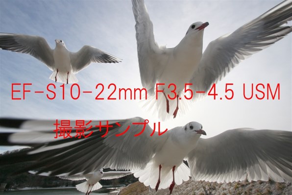 CANON EF-S10-22mm F3.5-4.5 USM レビュー評価・評判 - 価格.com
