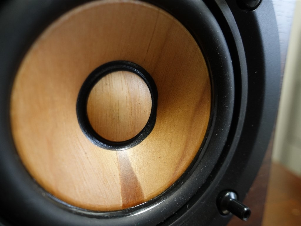 身近になったウッドコーン初の一体型』 JVC Victor WOOD CONE EX