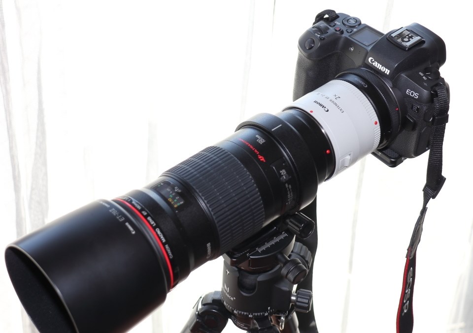 マクロレンズを望遠レンズ代わりで使うために』 CANON EXTENDER EF2X
