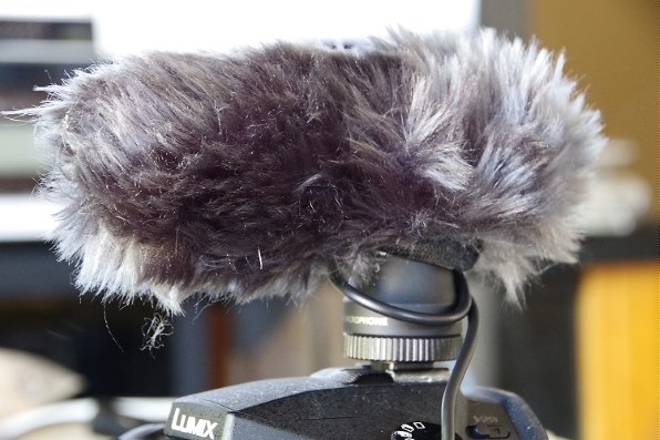パナソニック LUMIX DMC-FZ1000投稿画像・動画 (レビュー パナソニック LUMIX DMC-FZ1000投稿画像・動画 (レビュー