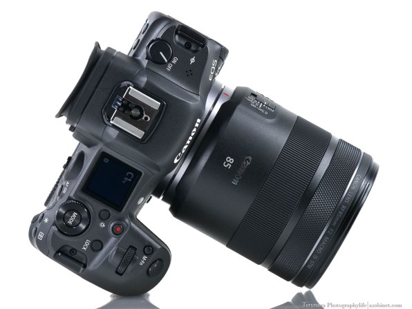 Canon RF85mm F2 マクロ IS STM RF852MISSTM-