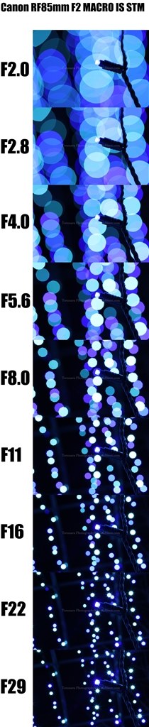 マクロレンズと考えれば満足度が高い』 CANON RF85mm F2 マクロ マクロレンズと考えれば満足度が高い』 CANON RF85mm F2 マクロ