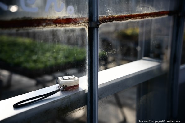 ニコン AI AF-S Zoom Nikkor ED 28-70mm F2.8D(IF) (ライトグレー)で