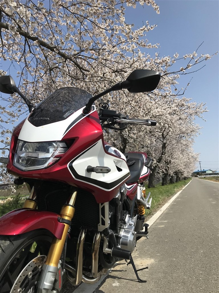 最レビー 相変わらず楽しいです ホンダ Cb1300 スーパーボルドール きっちょむむさんのレビュー評価 評判 価格 Com