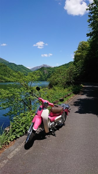 ホンダ スーパーカブ 110 価格 Com