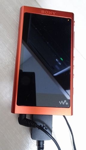 SONY NW-A55 16GB ポータブルデジタルオーディオプレーヤー Amazon.co.jp: ソニー ウォークマン Aシリーズ 16GB NW-A55