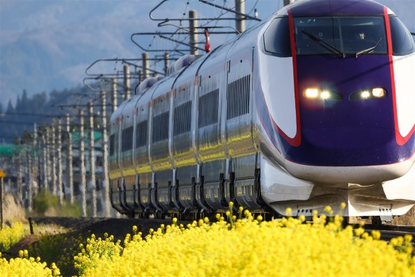 撮影の秋が来た！ 最終価格セール！ Canon Rf800mm f11 CANON RF800mm