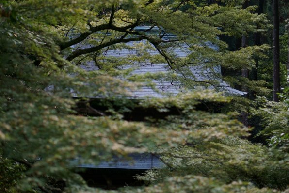SONY E 50mm F1.8 OSS SEL50F18投稿画像・動画 - 価格.com SONY E 50mm F1.8 OSS SEL50F18投稿画像・動画 - 価格.com