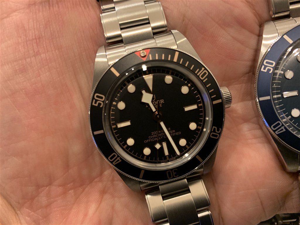 Amazon | [チューダー] TUDOR 腕時計 79030N-0001 ブラックベイ