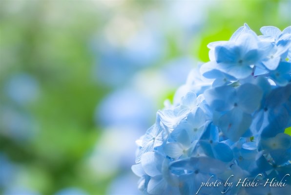 ニコン D80 ボディ レビュー評価・評判 - 価格.com