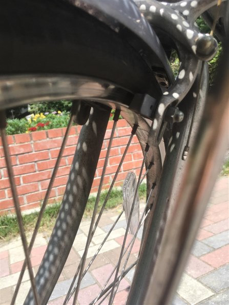 ブリヂストン アルベルト S型 AB75S6 [M.スパークルシルバー]投稿画像