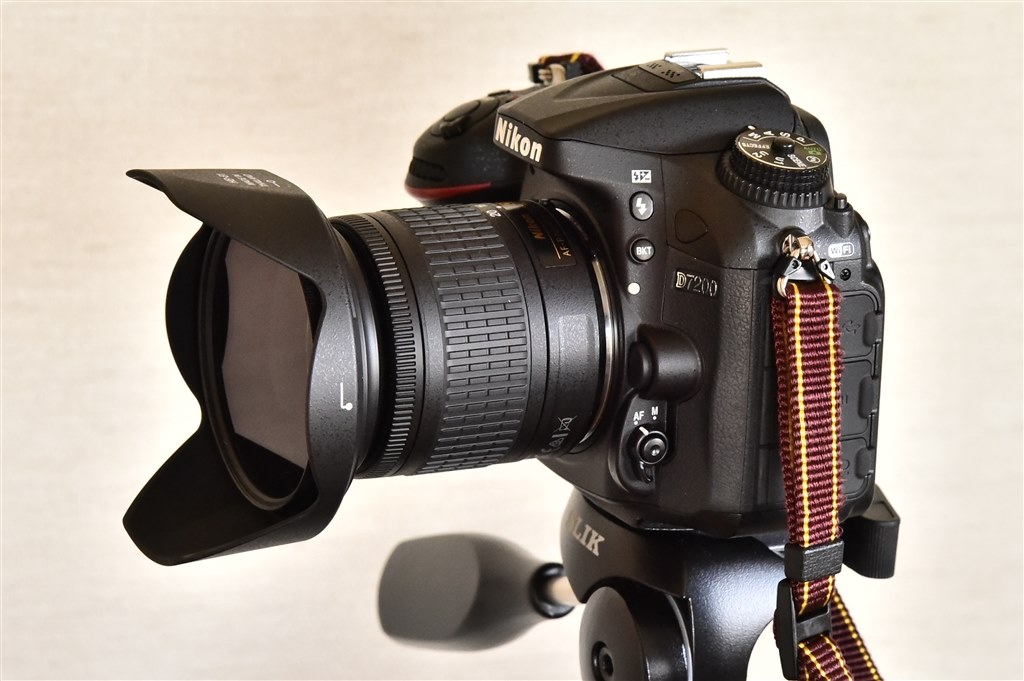 超広角を楽しめる逸品！』 ニコン AF-P DX NIKKOR 10-20mm f/4.5-5.6G 