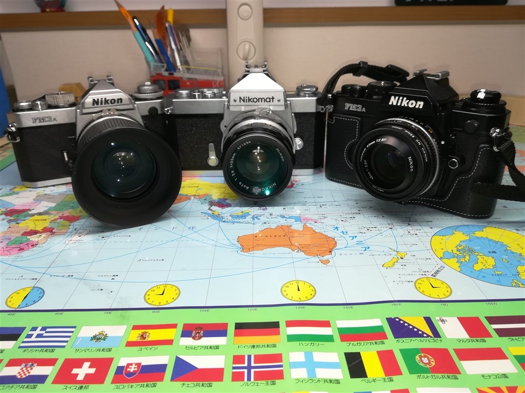 ニコマートの末裔(FM3A辛口)』 ニコン FM3A ボディ (シルバー) 岡若芽