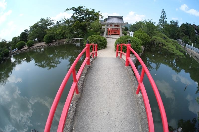 安い、小さい、重い』 銘匠光学 TTArtisan 7.5mm f/2 C Fisheye [フジ