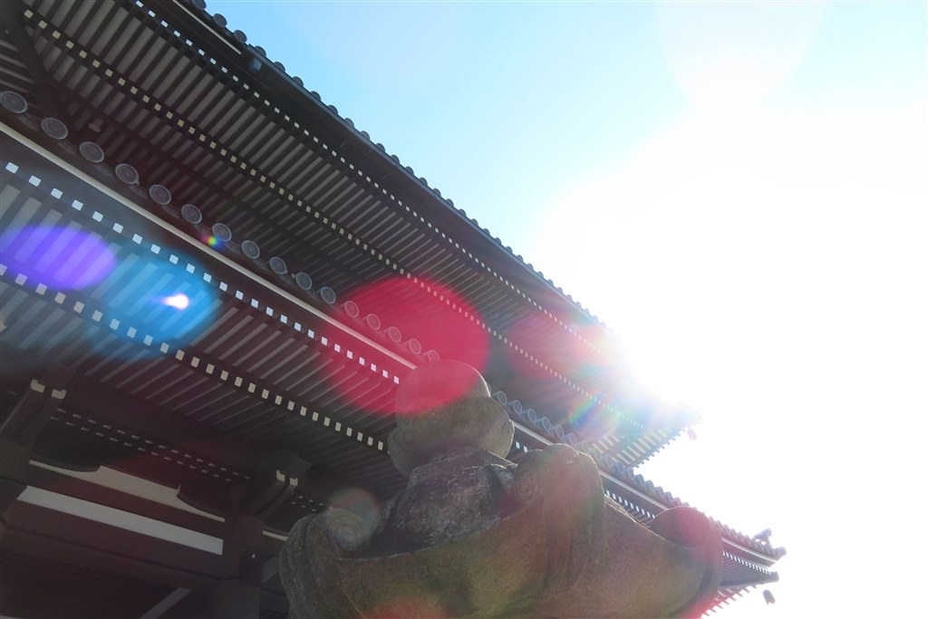 【作例あり】Canon Powershot SX740 HS コンデジ スマホでは無理!?光学40倍ズーム！Canon SX740HS 実機レビュー