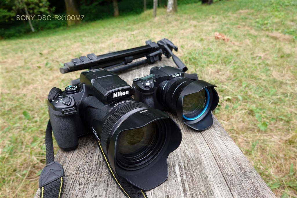 ニコン Nikon COOLPIX P1000 おまとめ ニコン COOLPIX P1000をレビュー！クチコミ・評判をもとに徹底