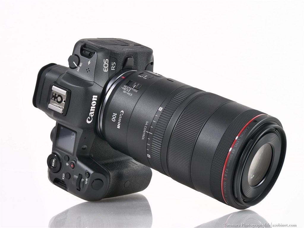 Canon RF 100mm F2.8 L MACRO IS USM