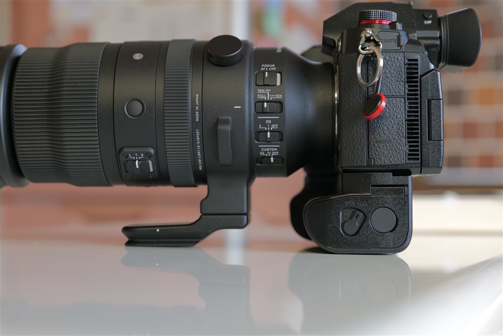 手持ち撮影でも耐えられる重さ』 シグマ 150-600mm F5-6.3 DG DN 手持ち撮影でも耐えられる重さ』 シグマ 150-600mm F5-6.3 DG DN