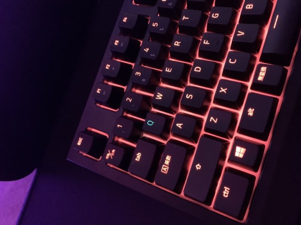 キーボード RAZER BLACKWIDOW GOLD メカニカルキーボード『Razer BlackWidow X Chroma』のゴールドモデル