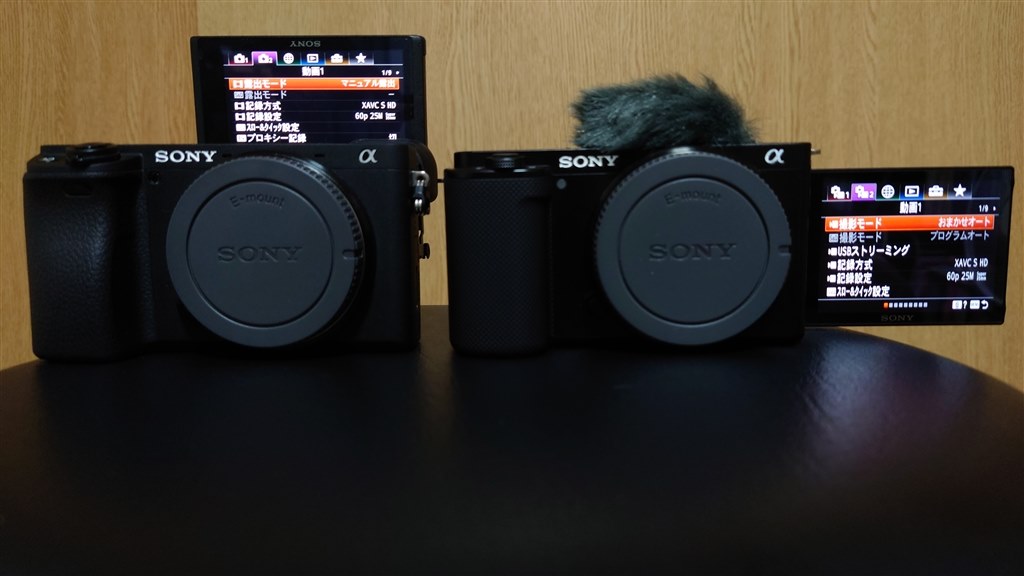 初撮り】コスパ抜群、動画メインの方にお勧めできる機材。』 SONY