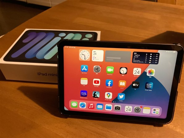 Apple iPad mini 8.3インチ 第6世代 Wi-Fi+Cellular 256GB 2021年秋 