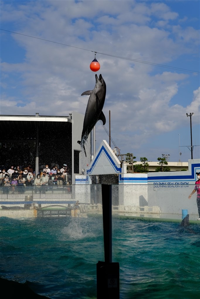X-Pro3のためのレンズ』 コシナ フォクトレンダー NOKTON 35mm F1.2 X