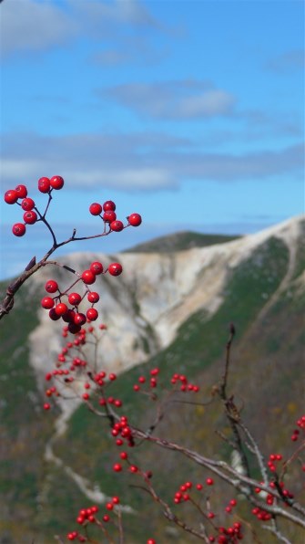 パナソニック LUMIX DMC-TZ5投稿画像・動画 - 価格.com