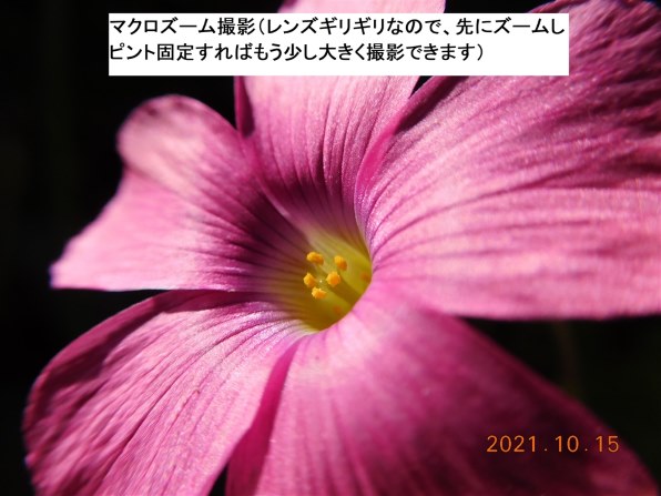 ニコン COOLPIX S7000 [ホワイト]投稿画像・動画 - 価格.com