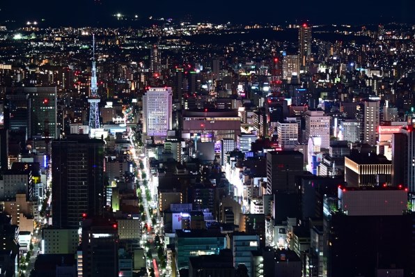 作例あり】ニコン AF-S NIKKOR 28-300mm VR ニコン AF-S NIKKOR