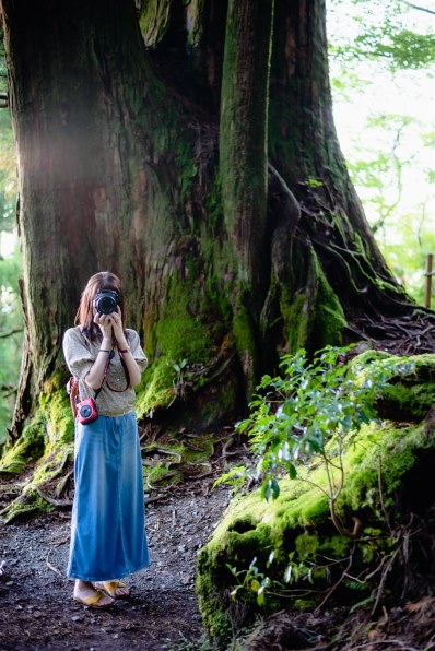 [美品] 作例有り。Nikon AF NIKKOR 50mm F1.8D Nikkor Z 50mm / f1.8 S with Nikon Z5 - FOTONE フォトン - カメラ