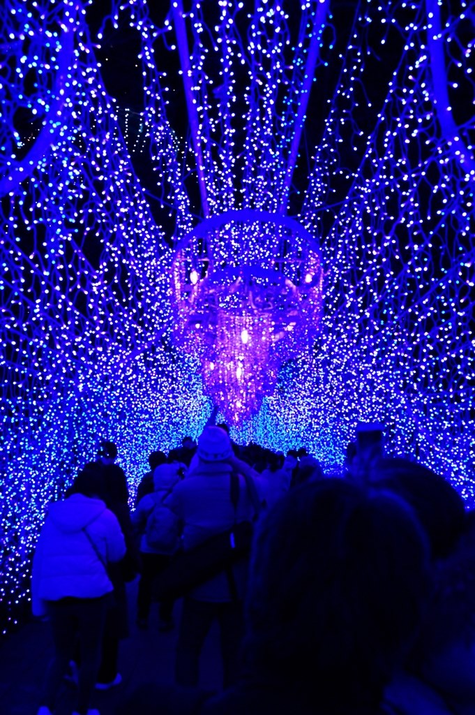 ✨イルミネーション撮影✨ Nikon D5000 AF-S 55-200mm ✨イルミネーション撮影✨ Nikon D5000 AF-S 55-200mm NIKKOR Z 50mm