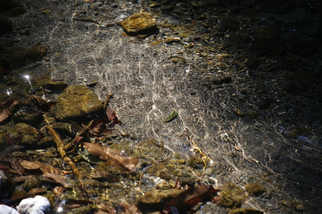 唯一無二、Canonさんの最高傑作』 CANON EOS 5D ボディ turbulence11