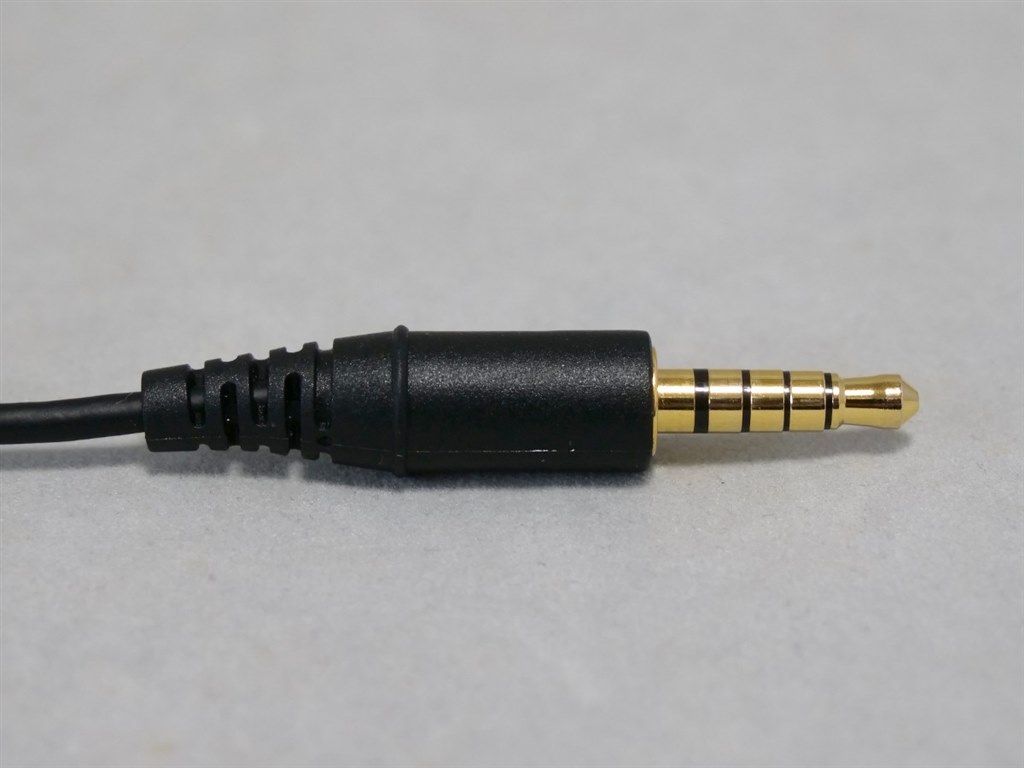ANC完全ワイヤレスか本機か？！』 SONY IER-NW510N 鴻池賢三さんの