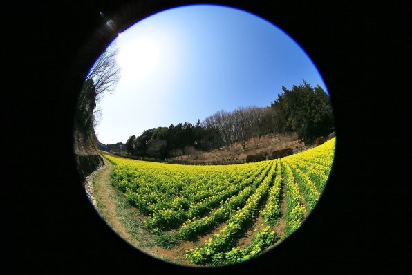 ★即購入大歓迎★EF8-15mm F4L フィッシュアイUSM EF8-15mm F4L フィッシュアイ USM 中古価格比較 - 価格.com