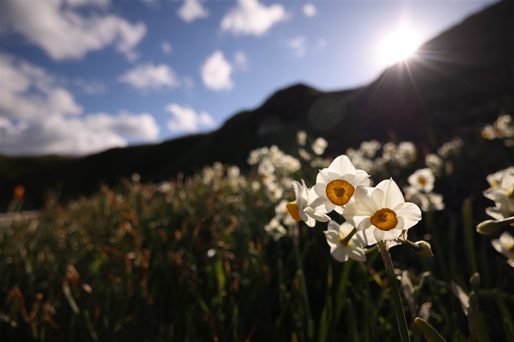 寄れる16㎜、最高のコストパフォーマンス。』 CANON RF16mm F2.8 寄れる16㎜、最高のコストパフォーマンス。』 CANON RF16mm F2.8