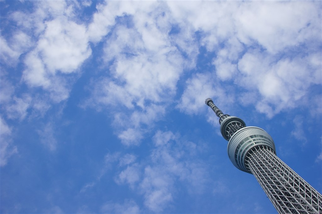 初めて買った単焦点レンズ。』 SONY Sonnar T* E 24mm F1.8 ZA