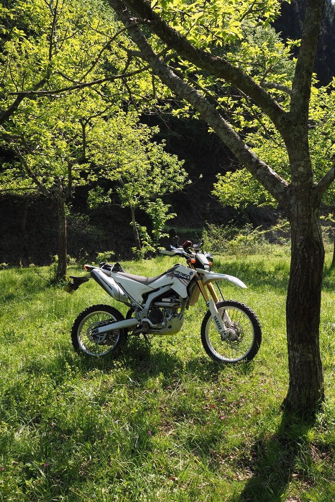 もうすぐ丸6年 やっぱりいいバイク』 ヤマハ WR250R BAJA人さん