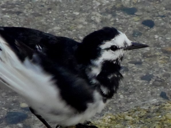 オリンパス OLYMPUS SP-810UZ投稿画像・動画 - 価格.com