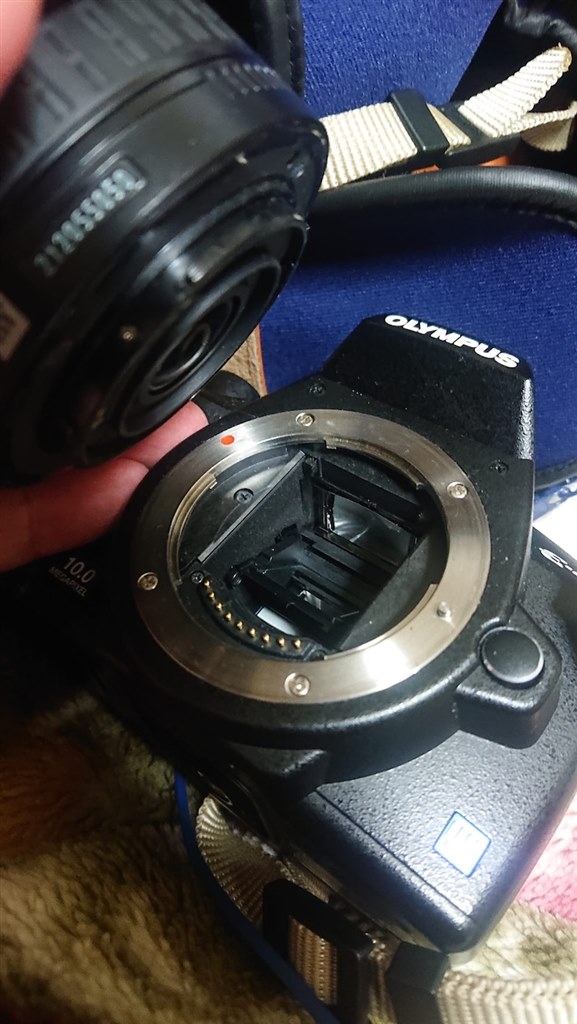 生まれて初めて買った憧れの一眼レフです。』 オリンパス E-410 ボディ