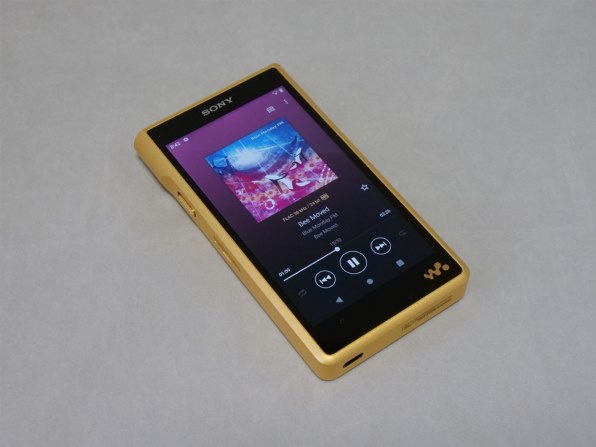 Sony NW-WM1ZM2 256GB Signature Series Premium Digital Music