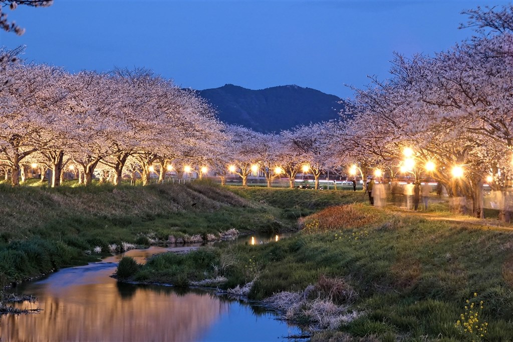 オールマイティに何でも撮れる！』 パナソニック LUMIX DC-FZ85 乃木坂